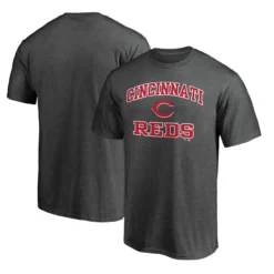Men's Cincinnati Reds Fanatics Branded Charcoal Heart & Soul T-Shirt