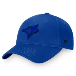 Men's Toronto Blue Jays Fanatics Branded Royal Fundamental Shadow Snapback Hat